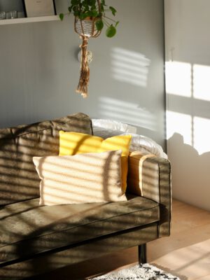 sven-brandsma-jxbdO7YXL8Y-unsplash brun-sofa